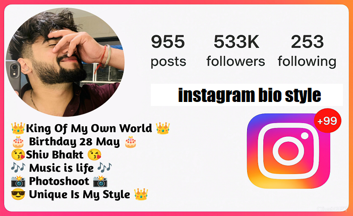 instagram bio style