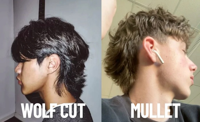 wolf cut men