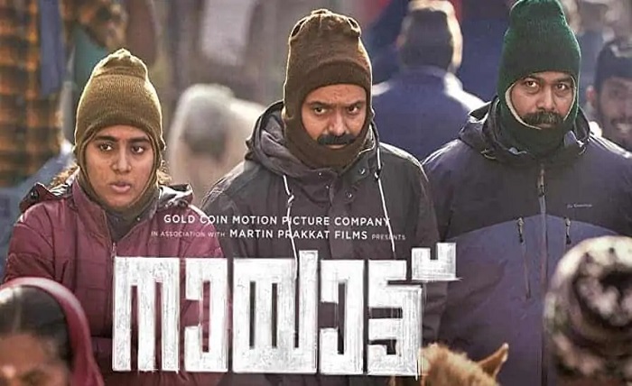 dvdplay mallumv download